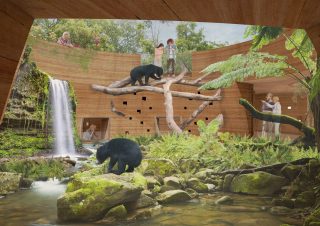 Sun bear enclosure -  Martin van der Vijver - RAvB: Studentenwerk