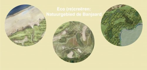 Eco re(creëren): Natuurgebied de Banjaard