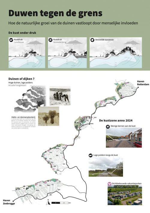 De grens in beweging: meer ruimte voor de duinen, de sleutel tot een toekomstbestendige kustzone