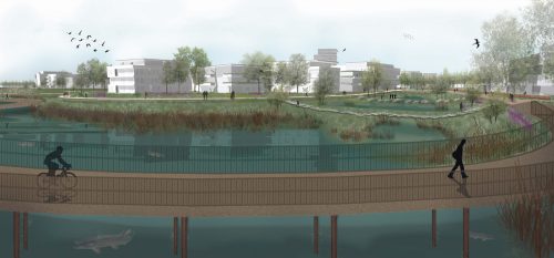 ECOZOOM: Natuurinclusiviteit als drager voor een veerkrachtig Bergen op Zoom
