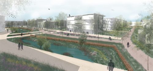 ECOZOOM: Natuurinclusiviteit als drager voor een veerkrachtig Bergen op Zoom